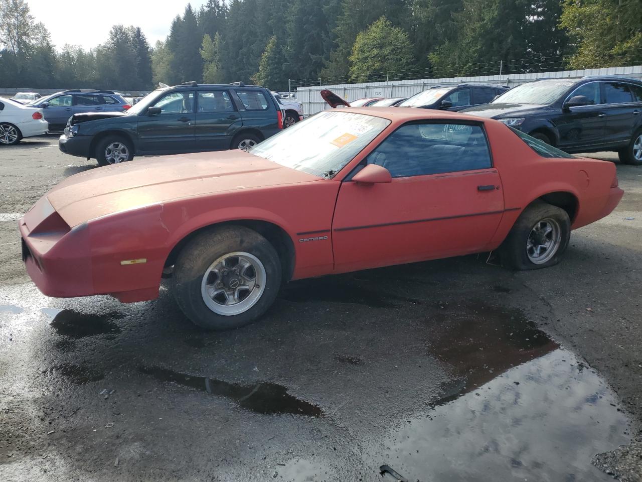 1985 Chevrolet Camaro, VIN 1G1FP87S2FL414022 — Auction photo 1 of 12