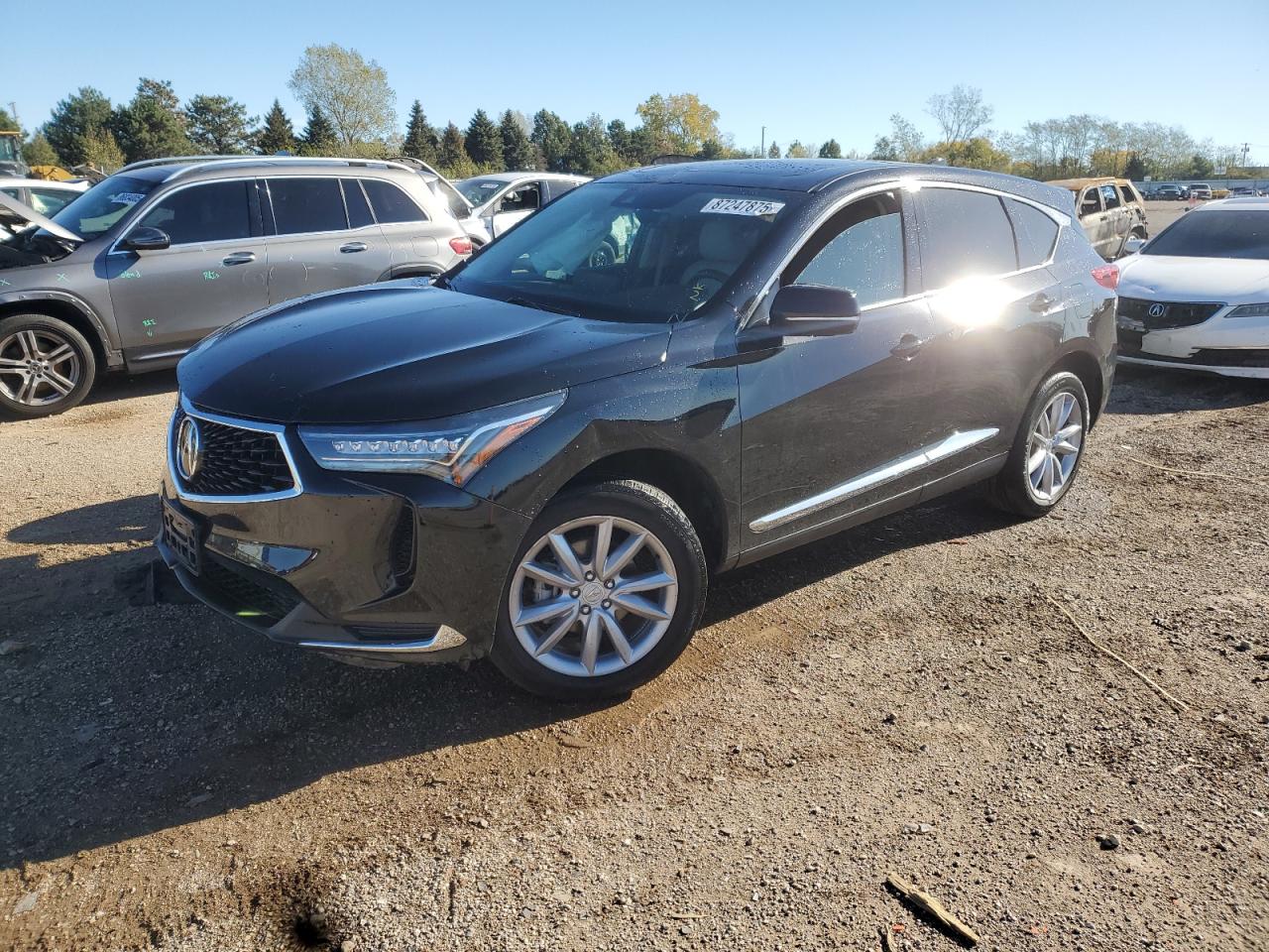 2024 Acura RDX, VIN 5J8TC2H36RL006137 — Front end