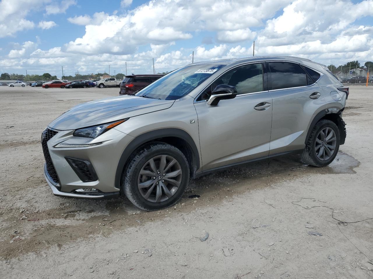 2019 Lexus NX 300, VIN JTJYARBZ6K2141126 — Rear end