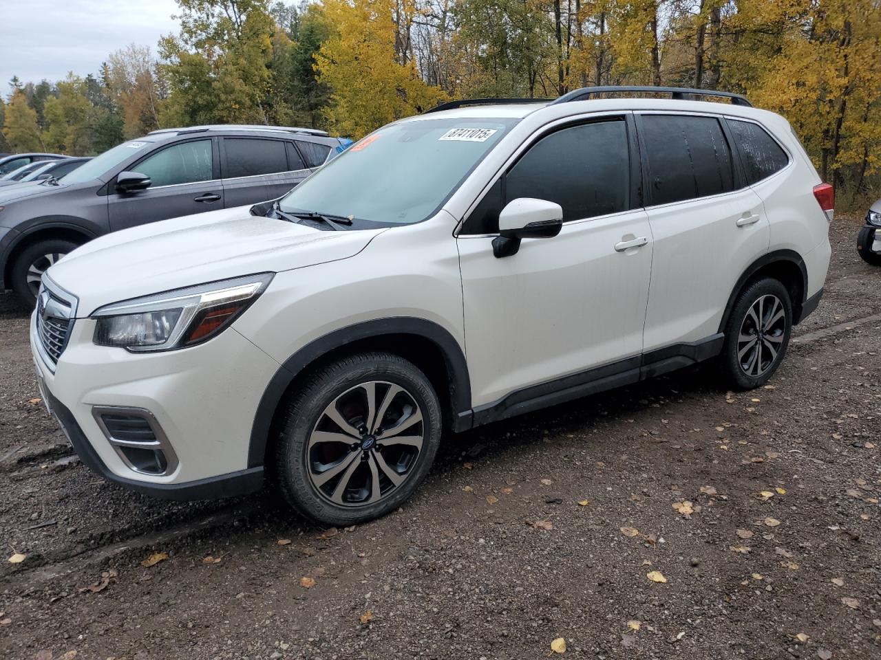 2019 Subaru Forester Limited, VIN JF2SKEUC9KH588605 — Vandalism