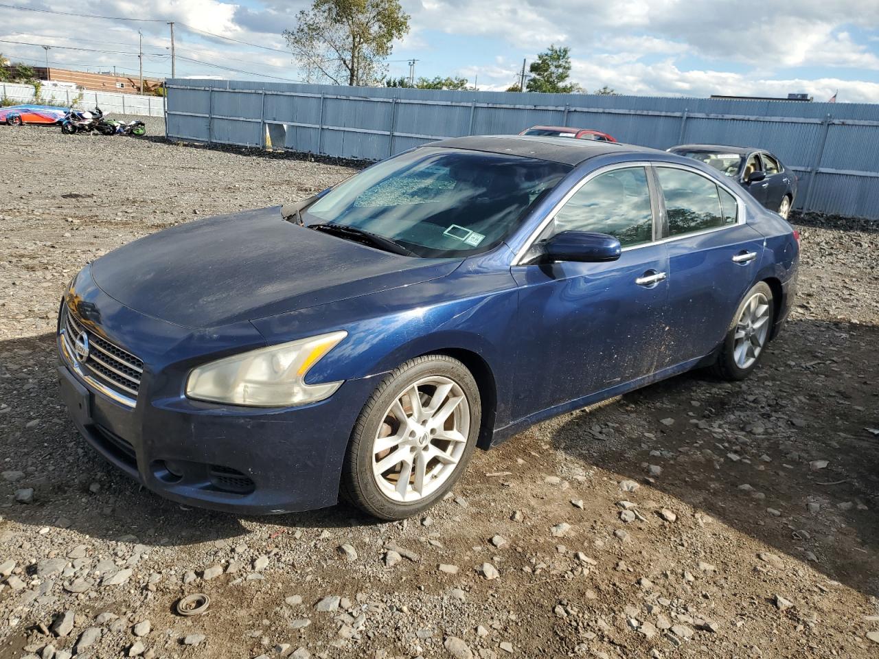 2010 Nissan Maxima SV, VIN 1N4AA5AP1AC813895 — Мелкие вмятины и царапины