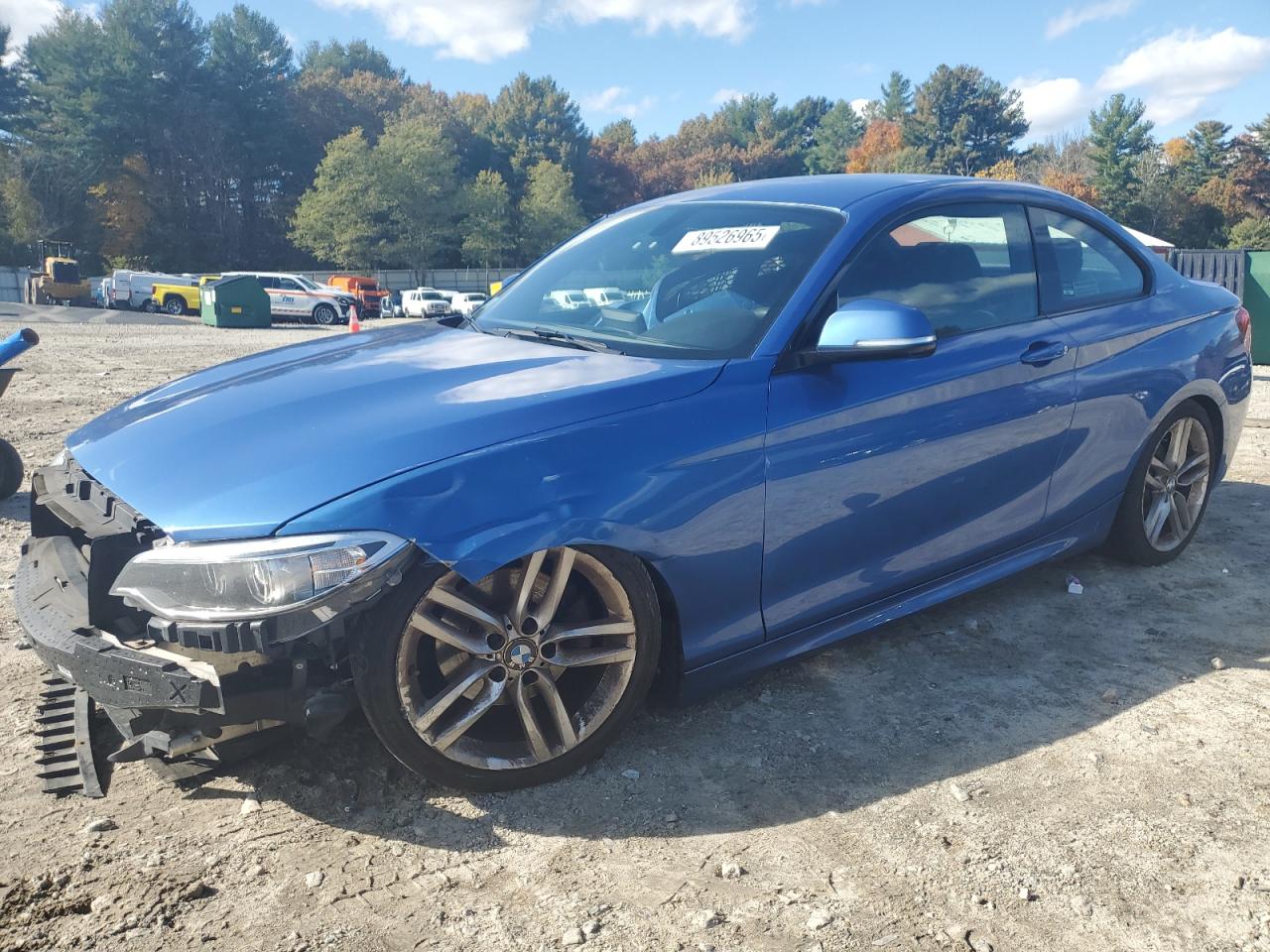 2015 BMW 2 Series 228i xDrive, VIN WBA1G9C54FVX96434 — Front end