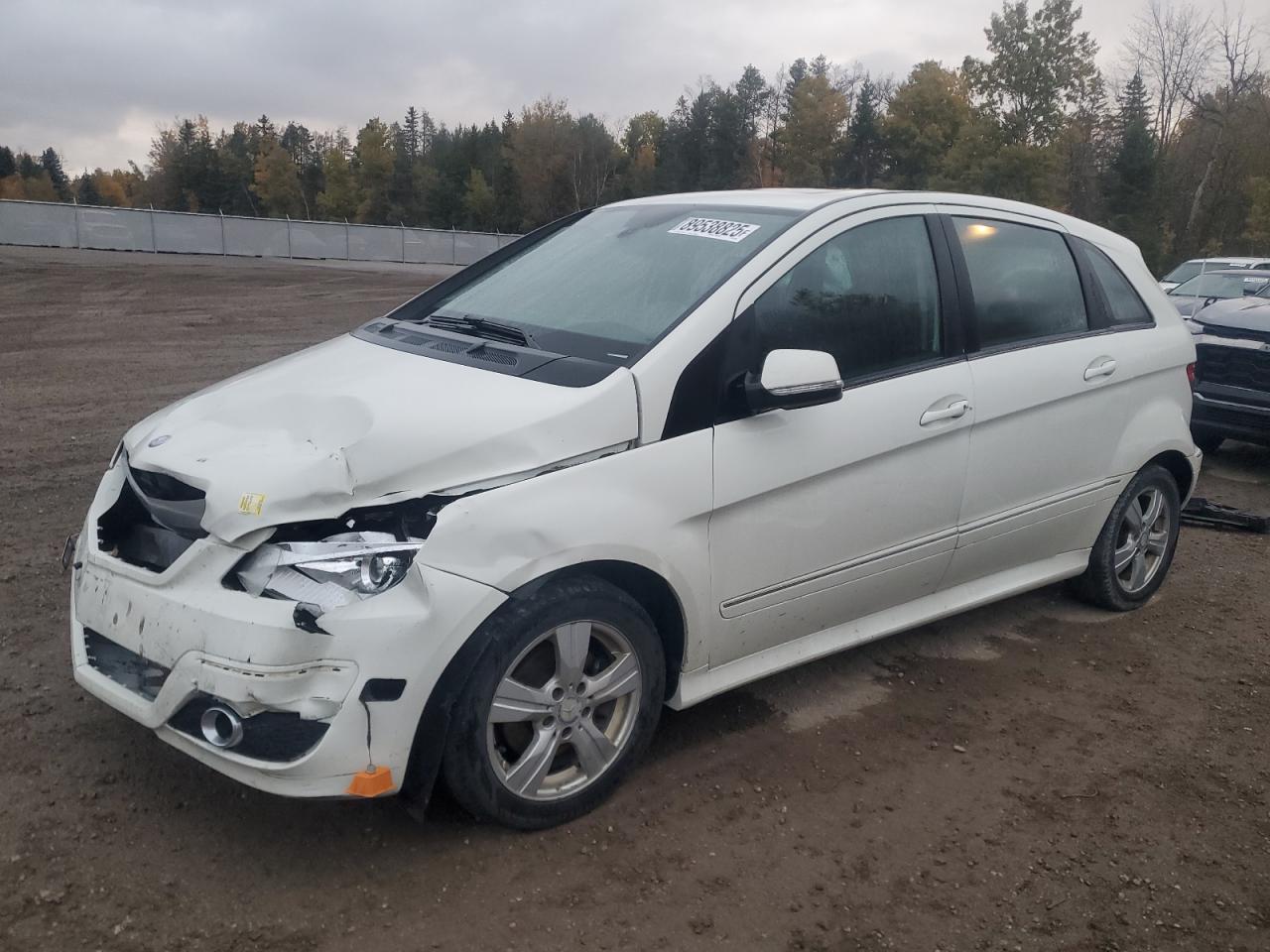 2010 Mercedes-Benz B 200, VIN WDDFH3DBXAJ597076 — Front end
