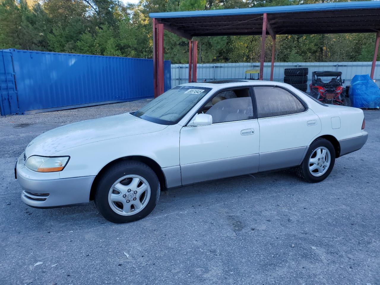 1993 Lexus ES 300, VIN JT8VK13T9P0169258 — Мелкие вмятины и царапины