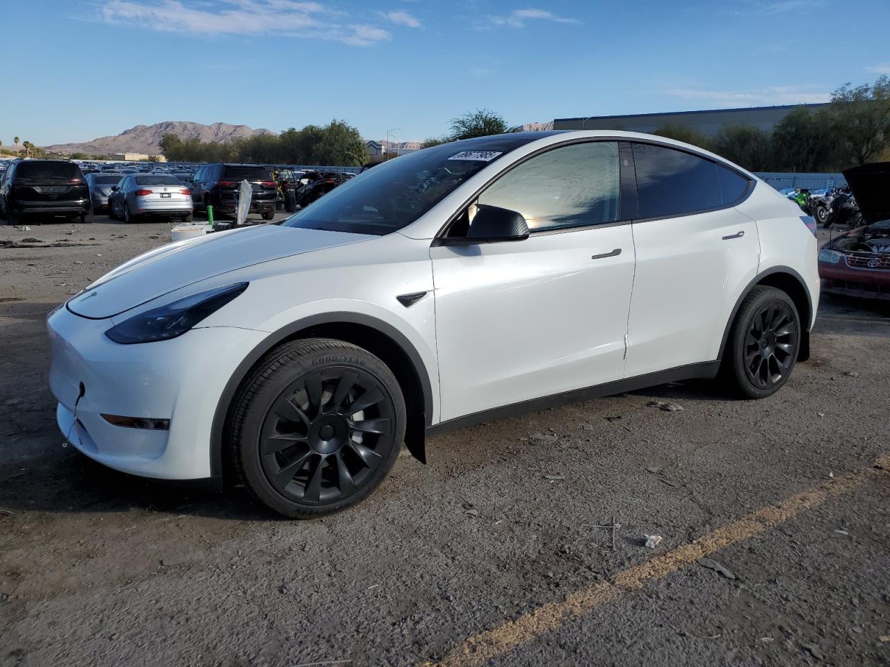 2024 Tesla Model Y Long Range, VIN 7SAYGDEE1RF152042 — Front end