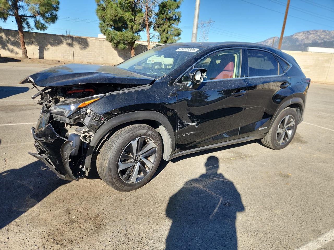 2019 Lexus NX 300h, VIN JTJBJRBZXK2113769 — Front end