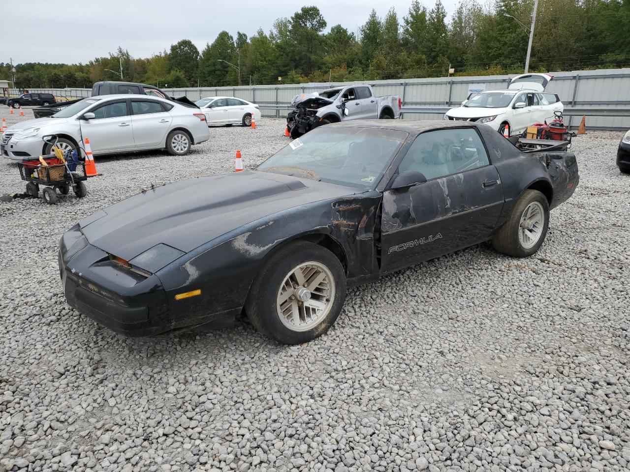 1989 Pontiac Firebird, VIN 1G2FS21F5KL223725 — Крыша