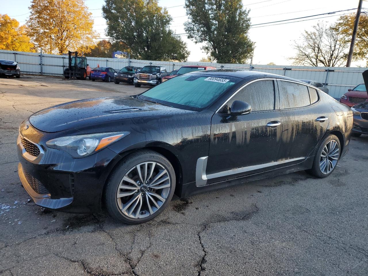 2019 Kia Stinger, VIN KNAE15LA0K6065609 — Обычный износ