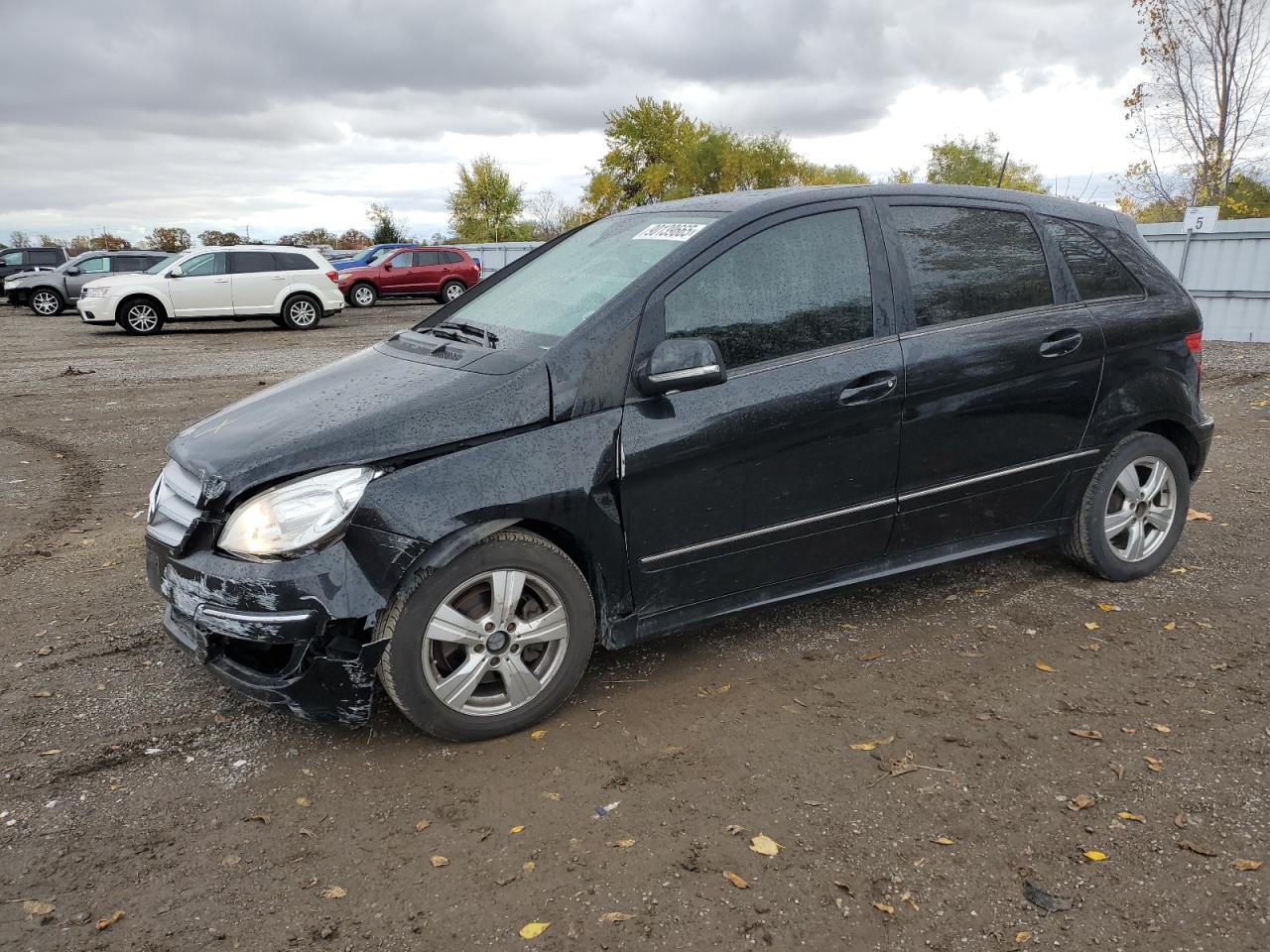 2010 Mercedes-Benz B 200, VIN WDDFH3DBXAJ537489 — Front end