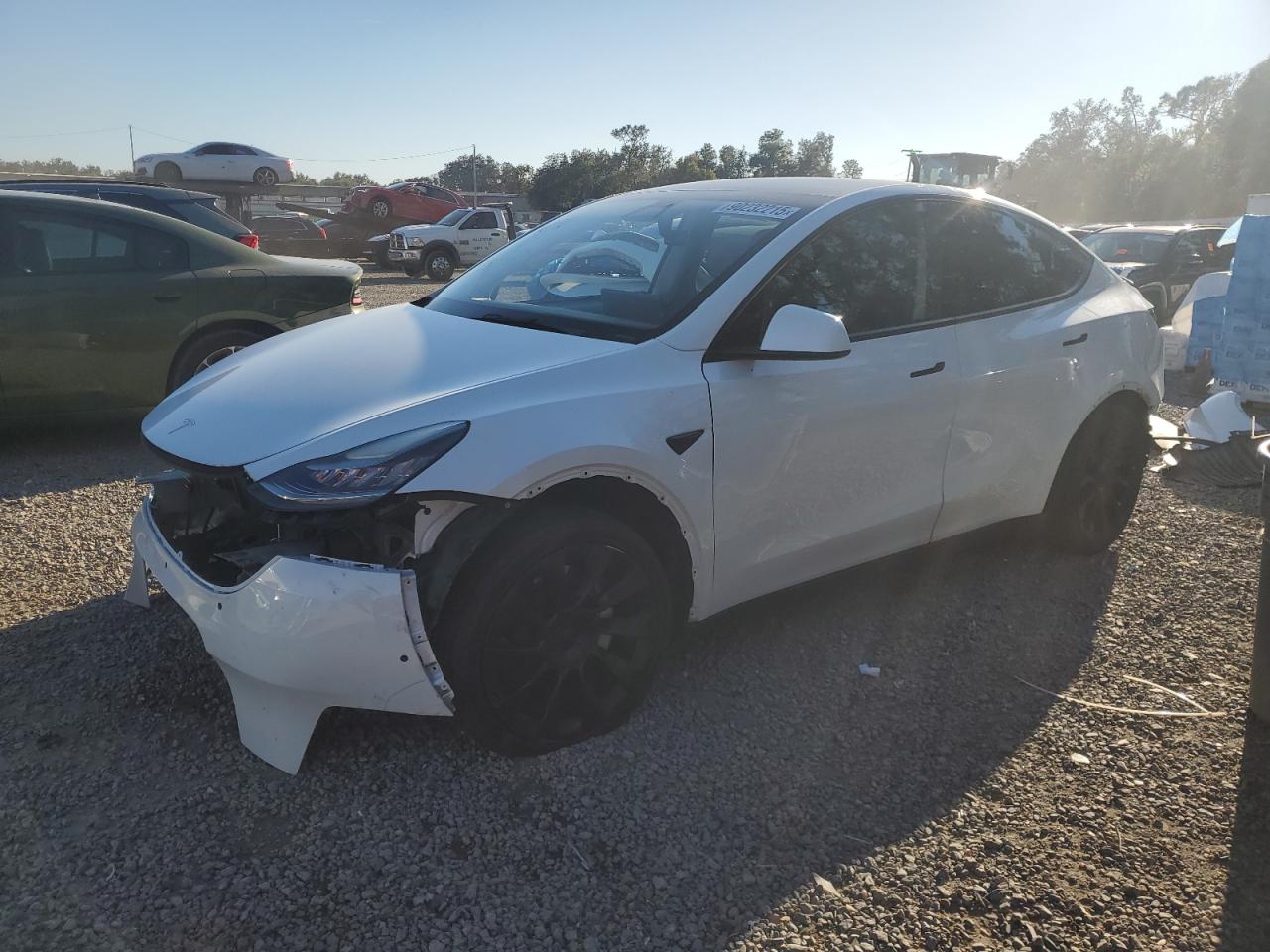 2021 Tesla Model Y Standard Range, VIN 5YJYGDED8MF105944 — Front end