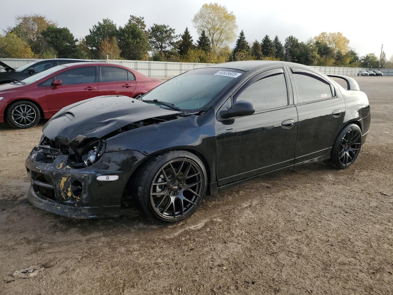 2003 Dodge Neon SRT-4, VIN 1B3ES66S23D206074 — Front end