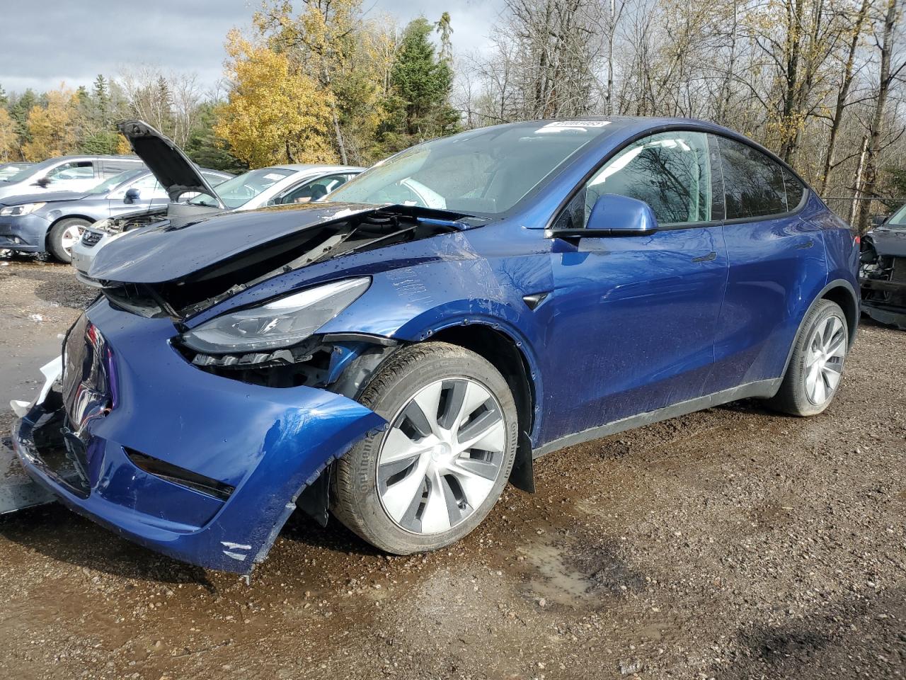 2024 Tesla Model Y Long Range, VIN 7SAYGAEEXRF995297 — Front end
