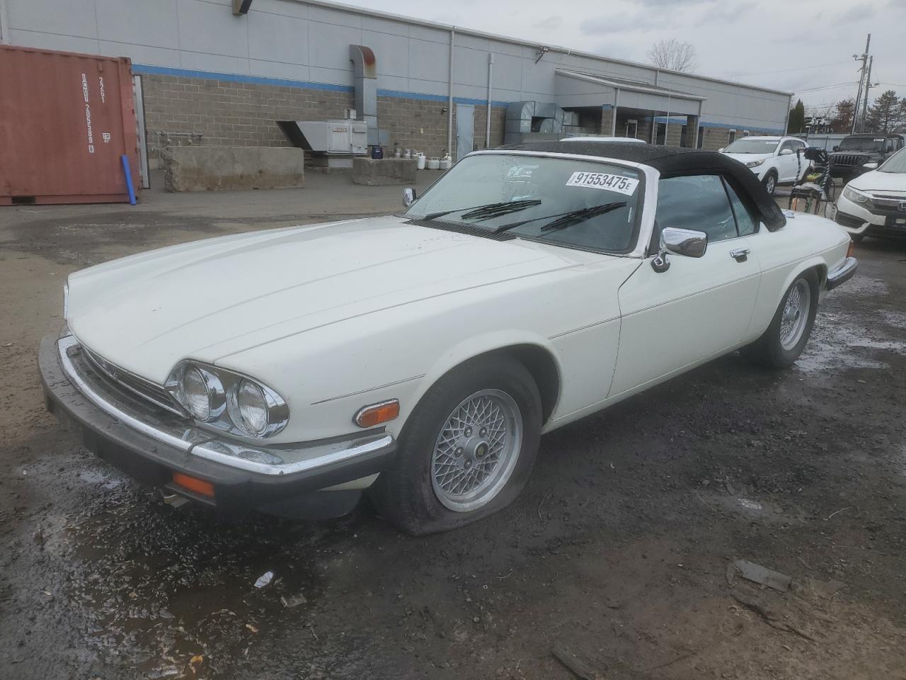 1989 Jaguar XJS, VIN SAJNV4843KC158082 — Rear end