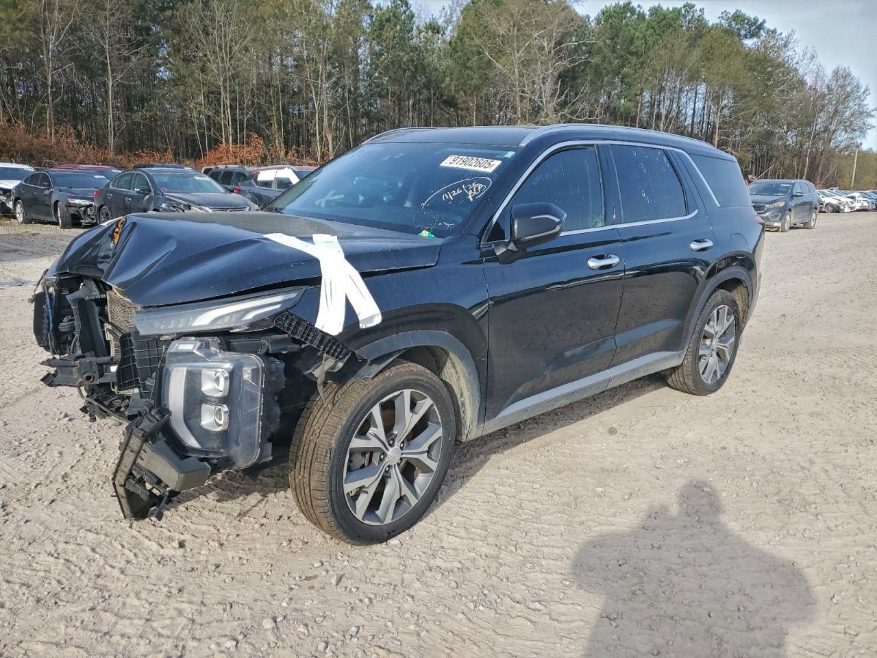 2020 Hyundai Palisade SEL, VIN KM8R34HEXLU074976 — Front end