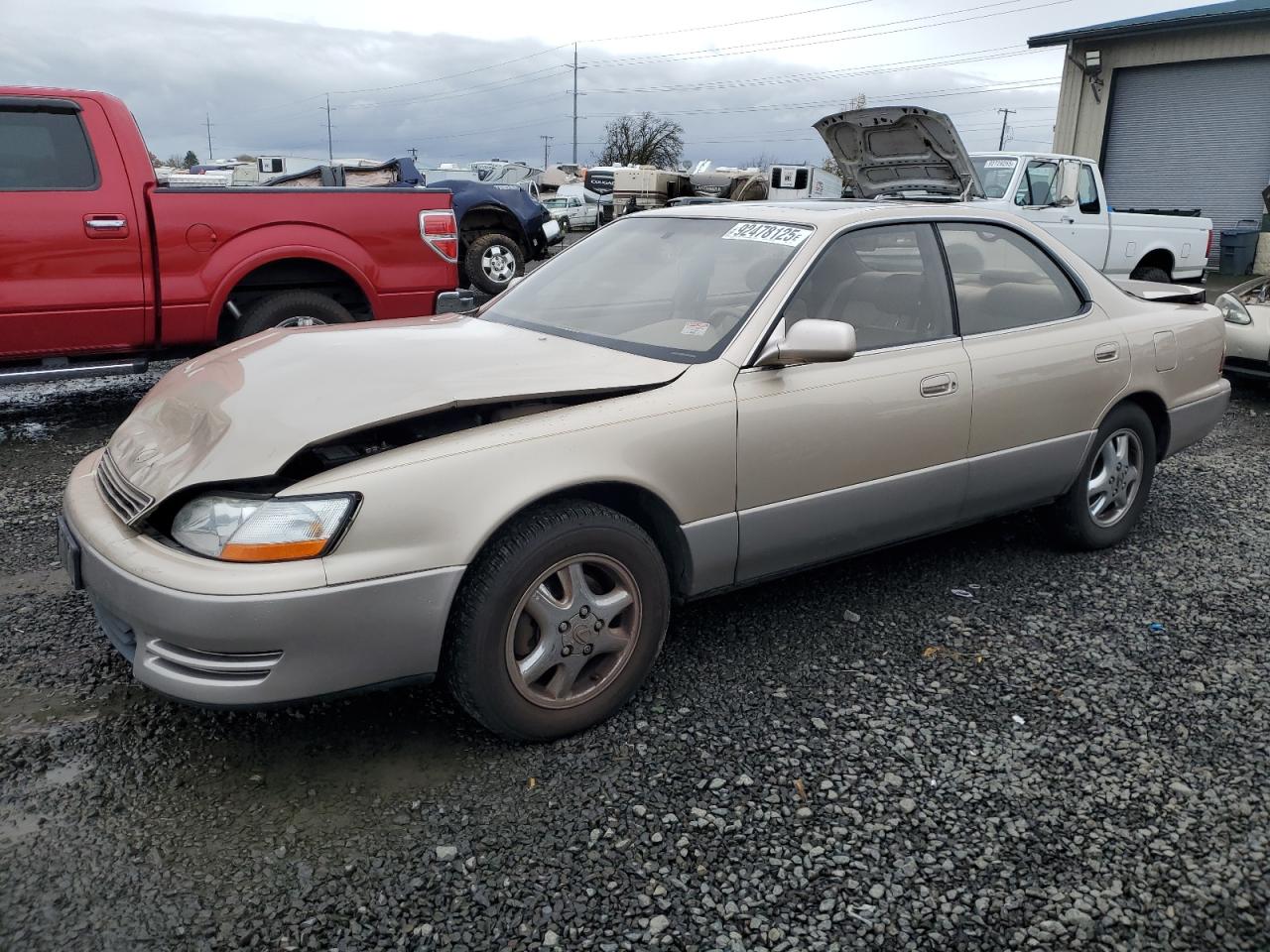 1994 Lexus ES 300, VIN JT8GK13T4R0035284 — Front end