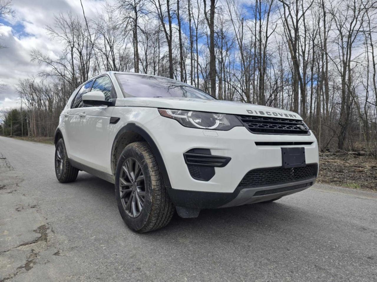 2019 Land Rover Discovery Sport SE, VIN SALCP2FX1KH794142 — Auction photo