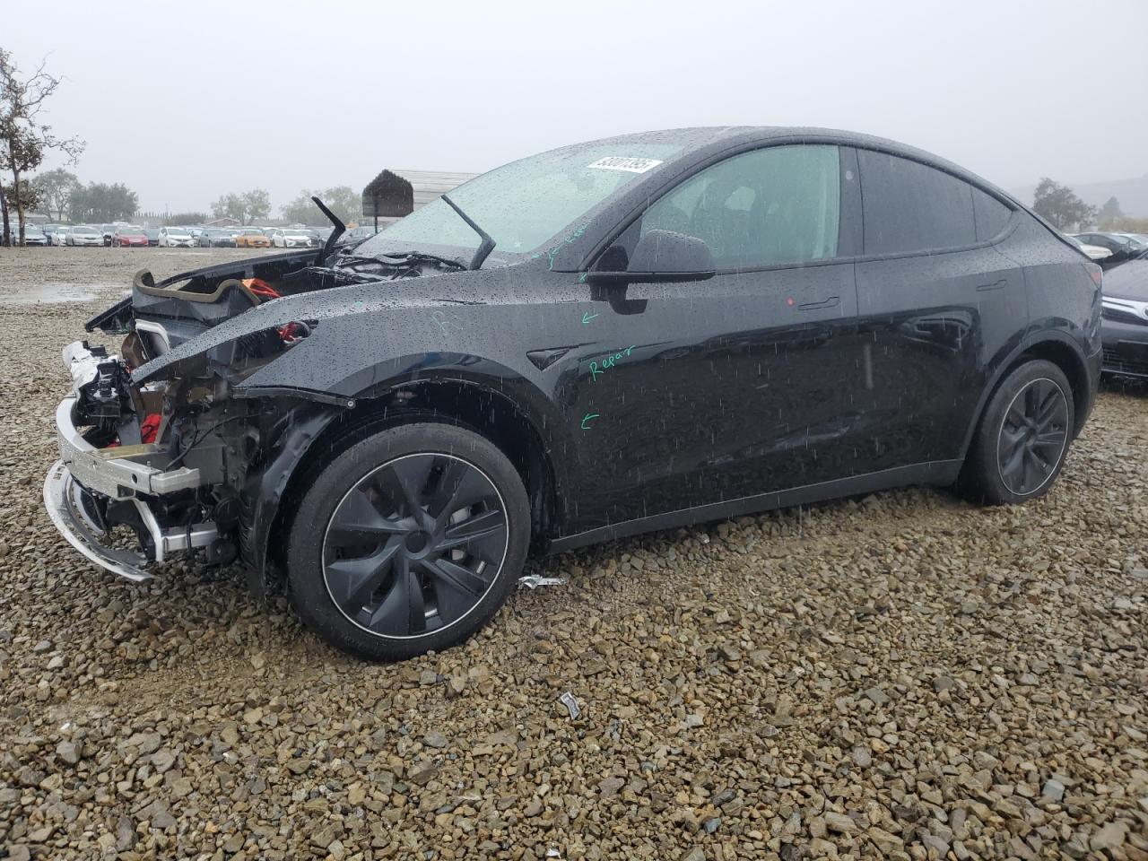 2024 Tesla Model Y, VIN 7SAYGDED3RF108700 — Front end