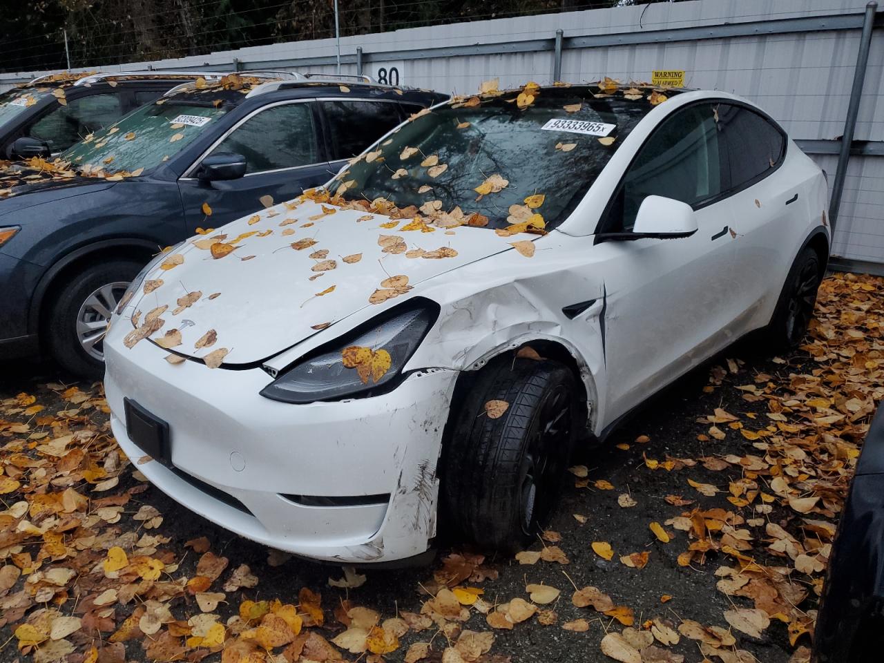 2024 Tesla Model Y Long Range, VIN 7SAYGAEE7RF157373 — Front end