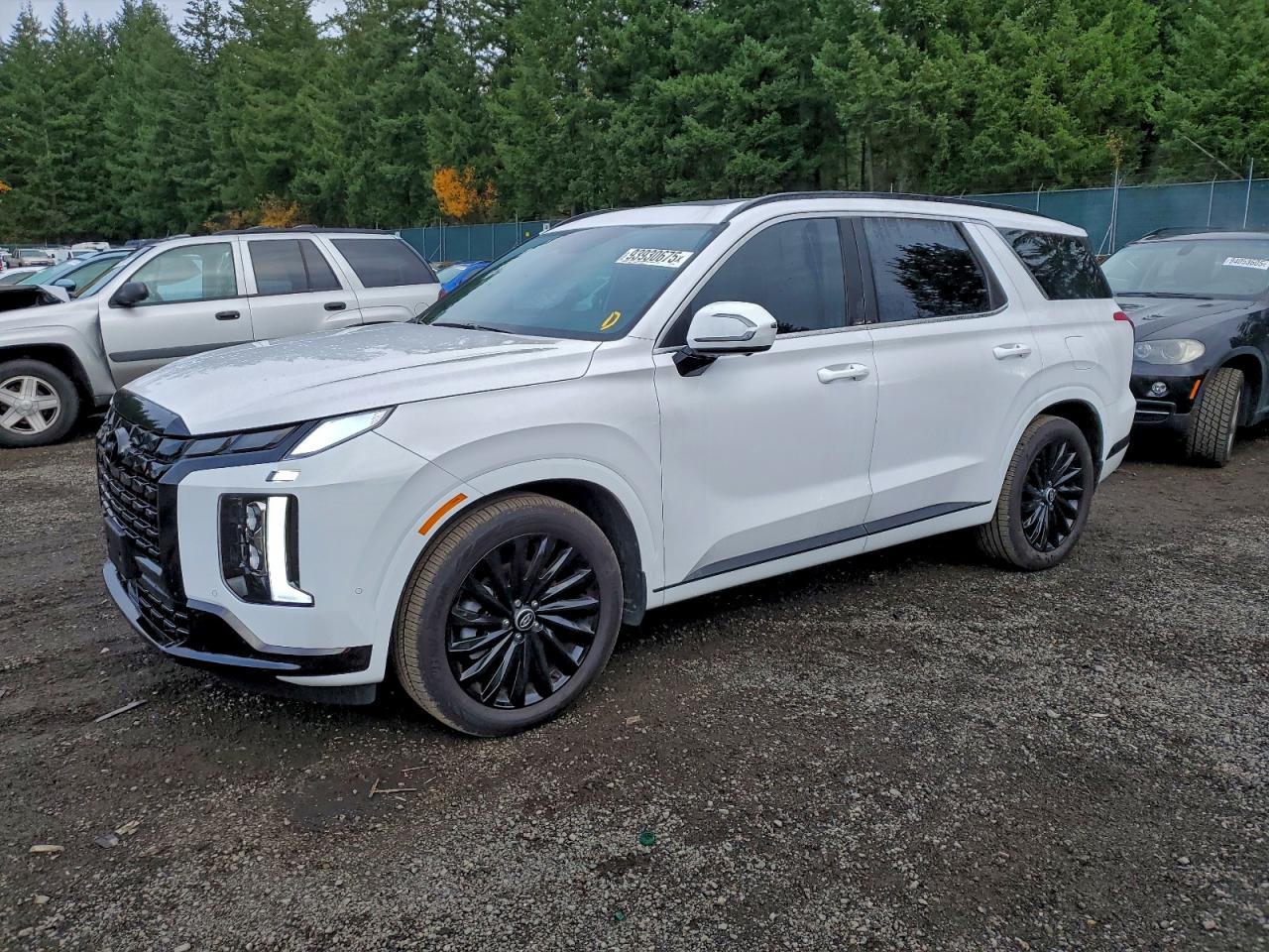2025 Hyundai Palisade Calligraphy, VIN KM8R7DGE7SU915818 — Partial repair
