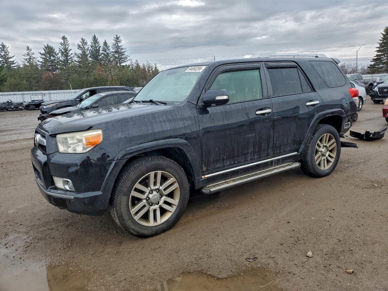 2010 Toyota 4Runner Trail, VIN JTEBU5JR3A5029015 — Rear end