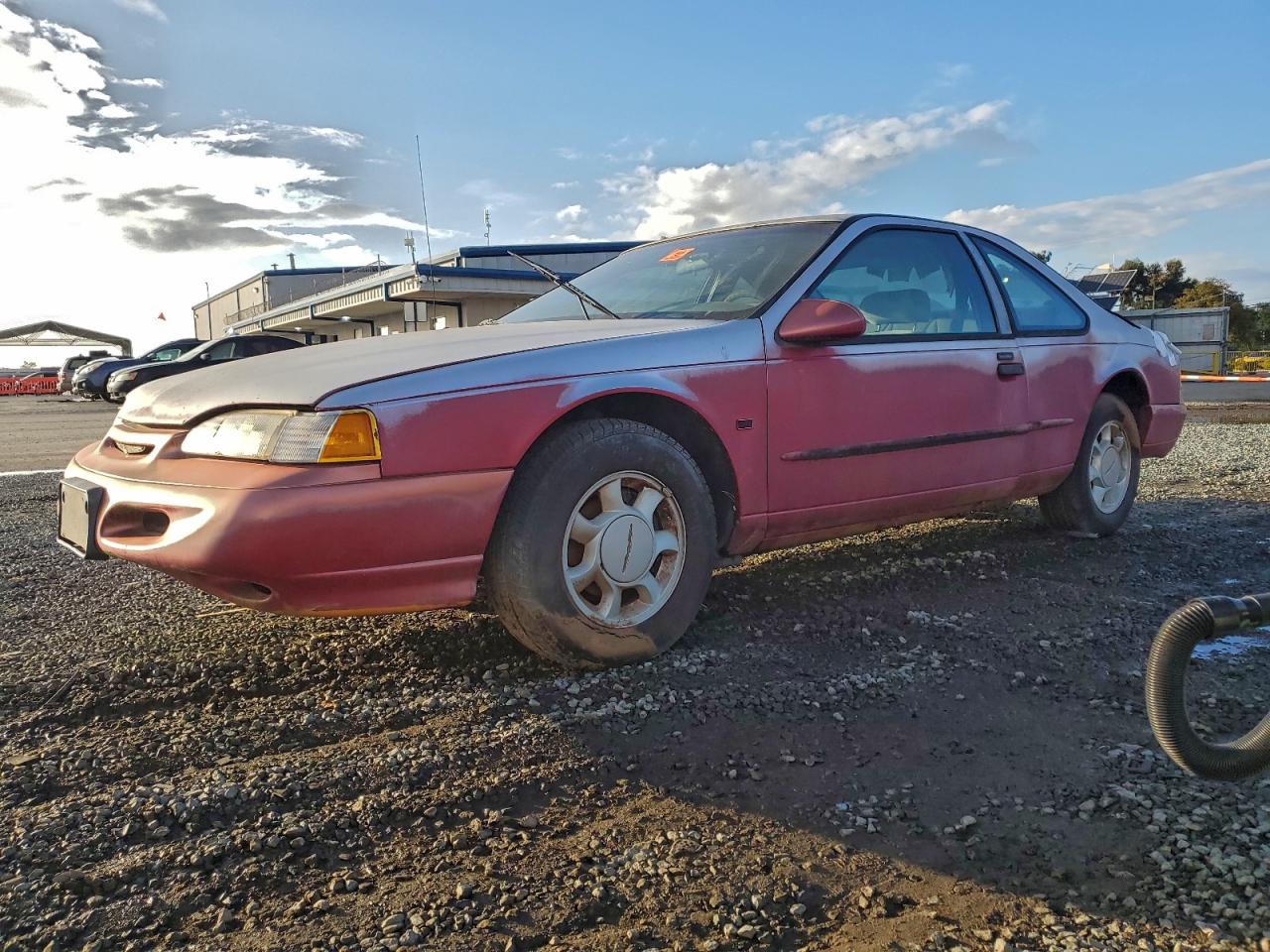 1995 Ford Thunderbird LX, VIN 1FALP62W7SH202406 — Rear end