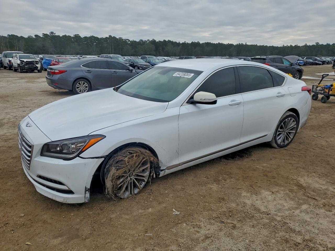 2015 Hyundai Genesis 3.8L, VIN KMHGN4JE1FU031045 — Перед