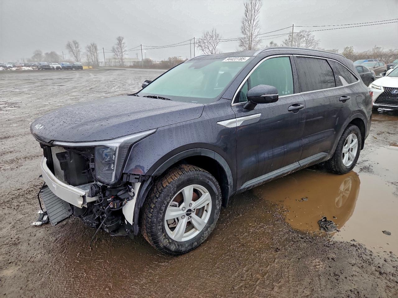 2025 Kia Sorento, VIN 5XYRGDJC7SG384911 — Side