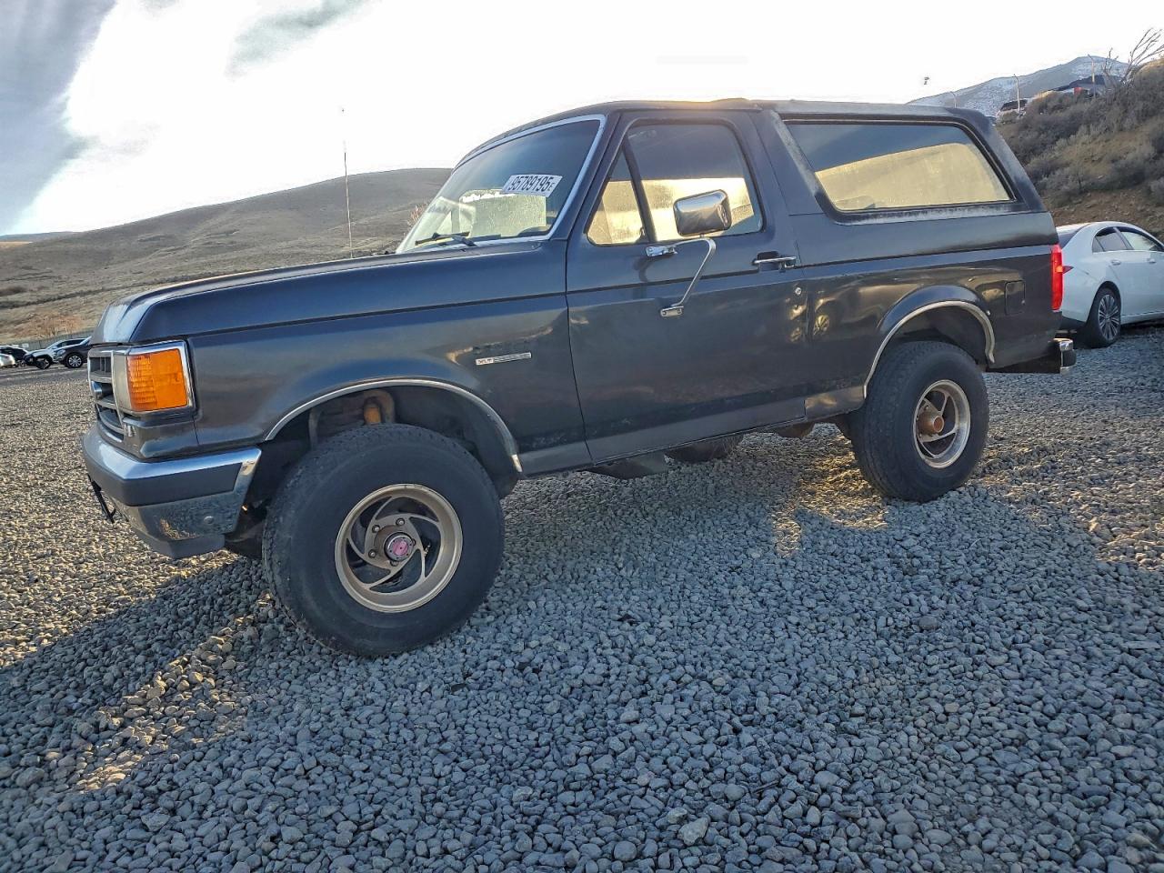 1990 Ford Bronco Eddie Bauer, VIN 1FMEU15N0LLA32174 — Minor dents and scratches