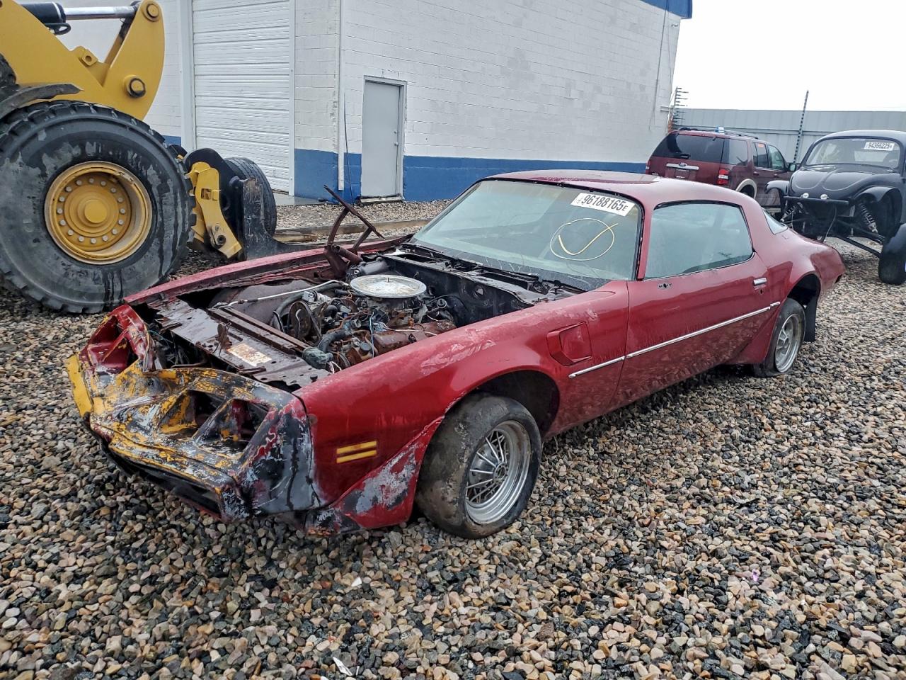 1981 Pontiac Firebird, VIN 1G2AW87W8BL101255 — All over