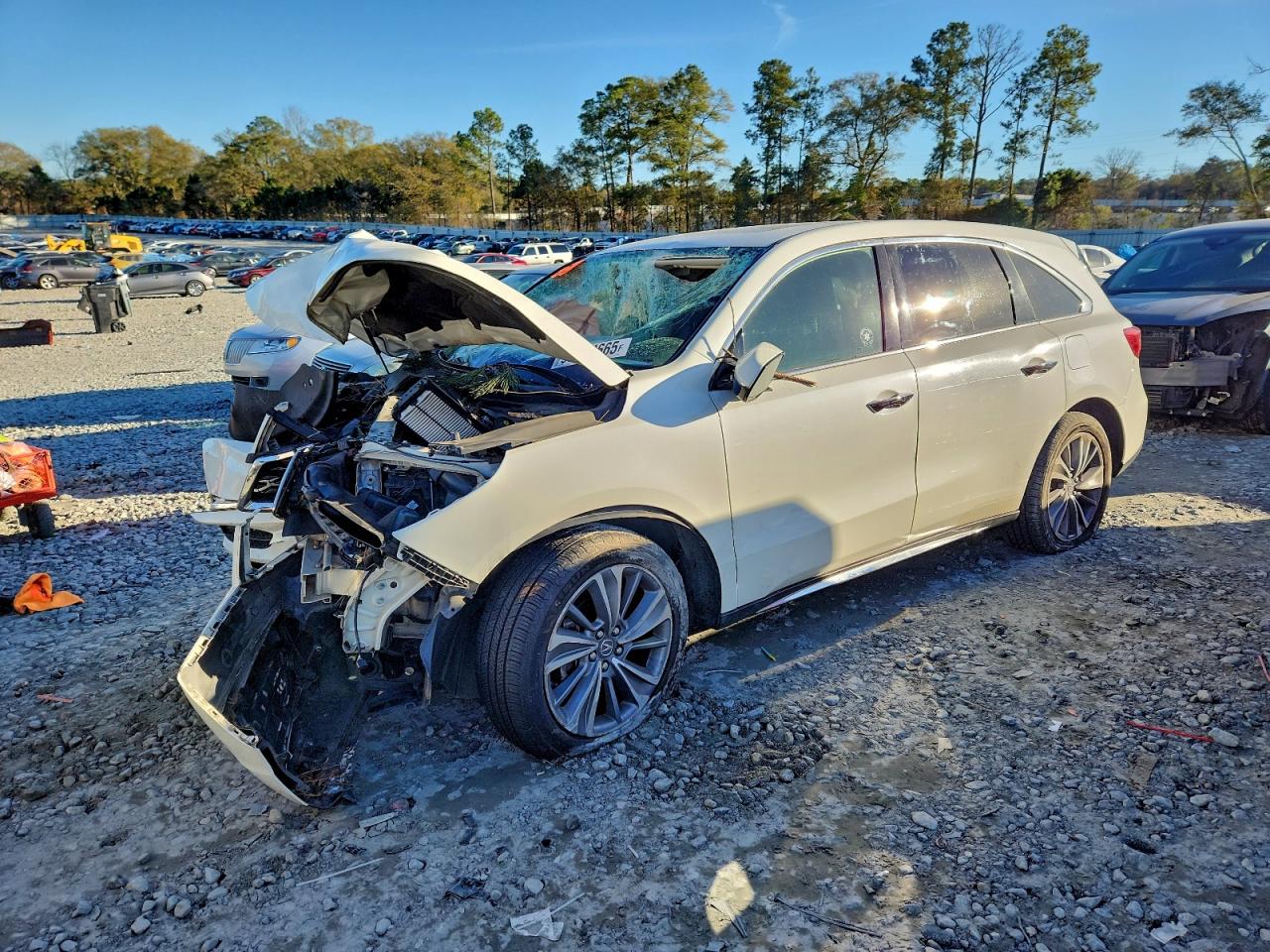 2017 Acura MDX Technology, VIN 5FRYD3H55HB013296 — Biohazard / chemical