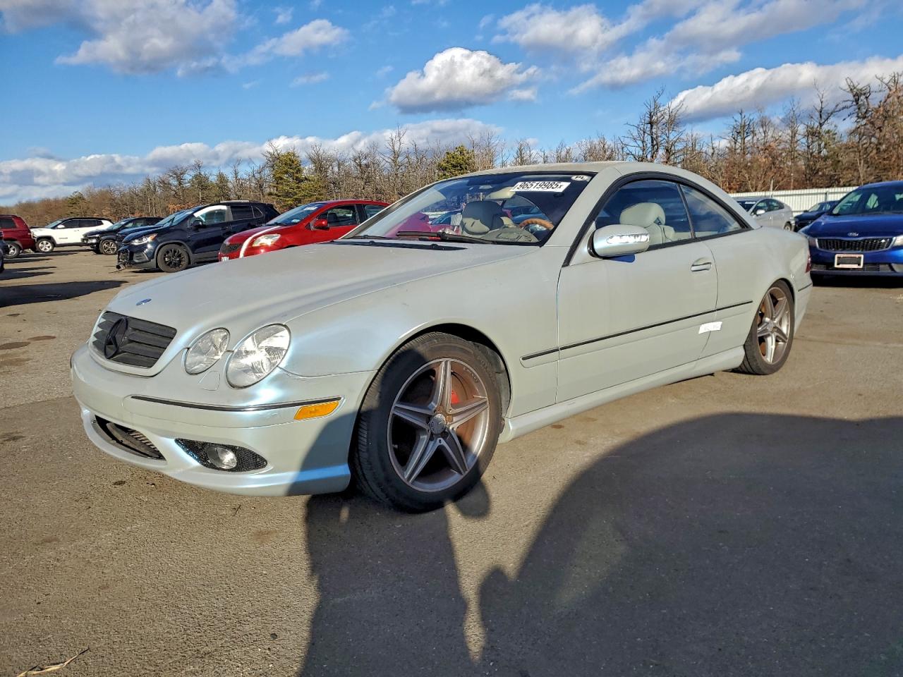 2005 Mercedes-Benz CL 500, VIN WDBPJ75J55A044517 — Water / flood