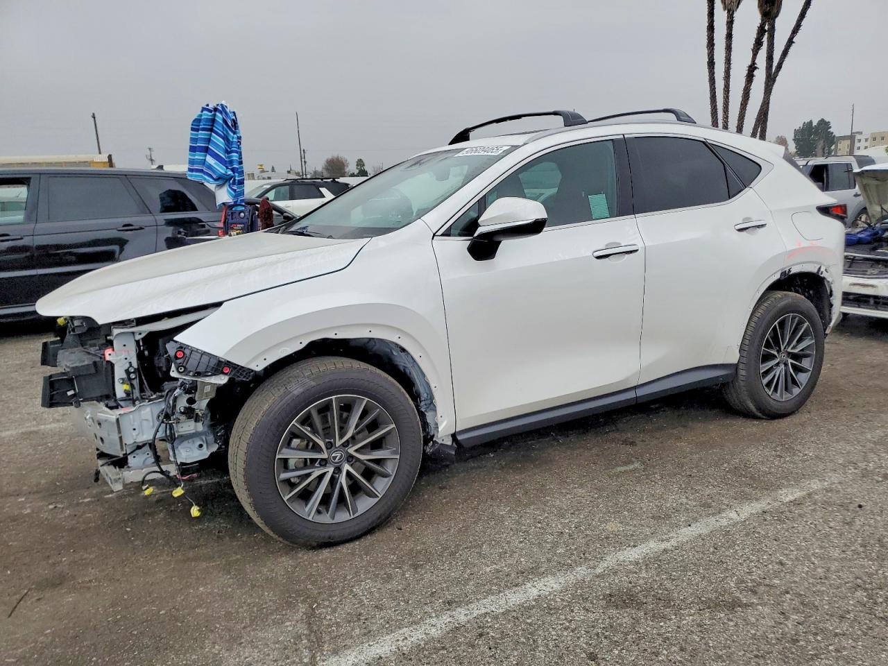 2025 Lexus NX 250 Premium, VIN 2T2GDCEZ6SC007311 — Перед