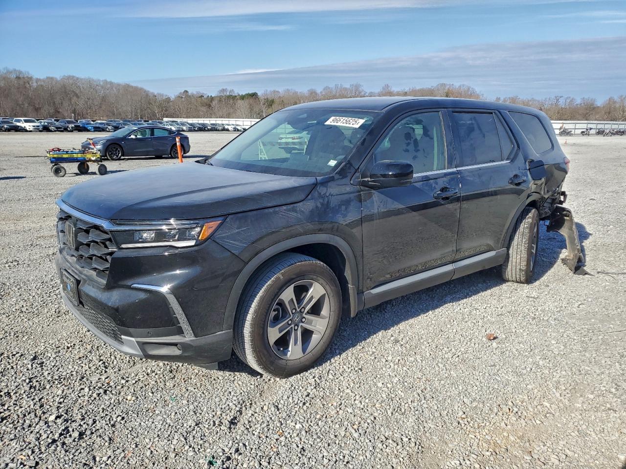 2025 Honda Pilot EX-L, VIN 5FNYG2H41SB019615 — Зад