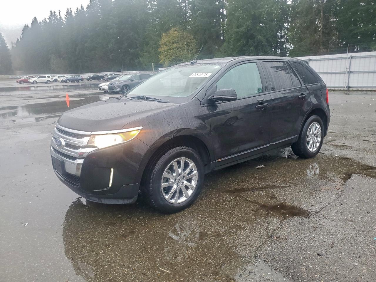 2014 Ford Edge SEL, VIN 2FMDK4JC3EBB31369 — Auction photo