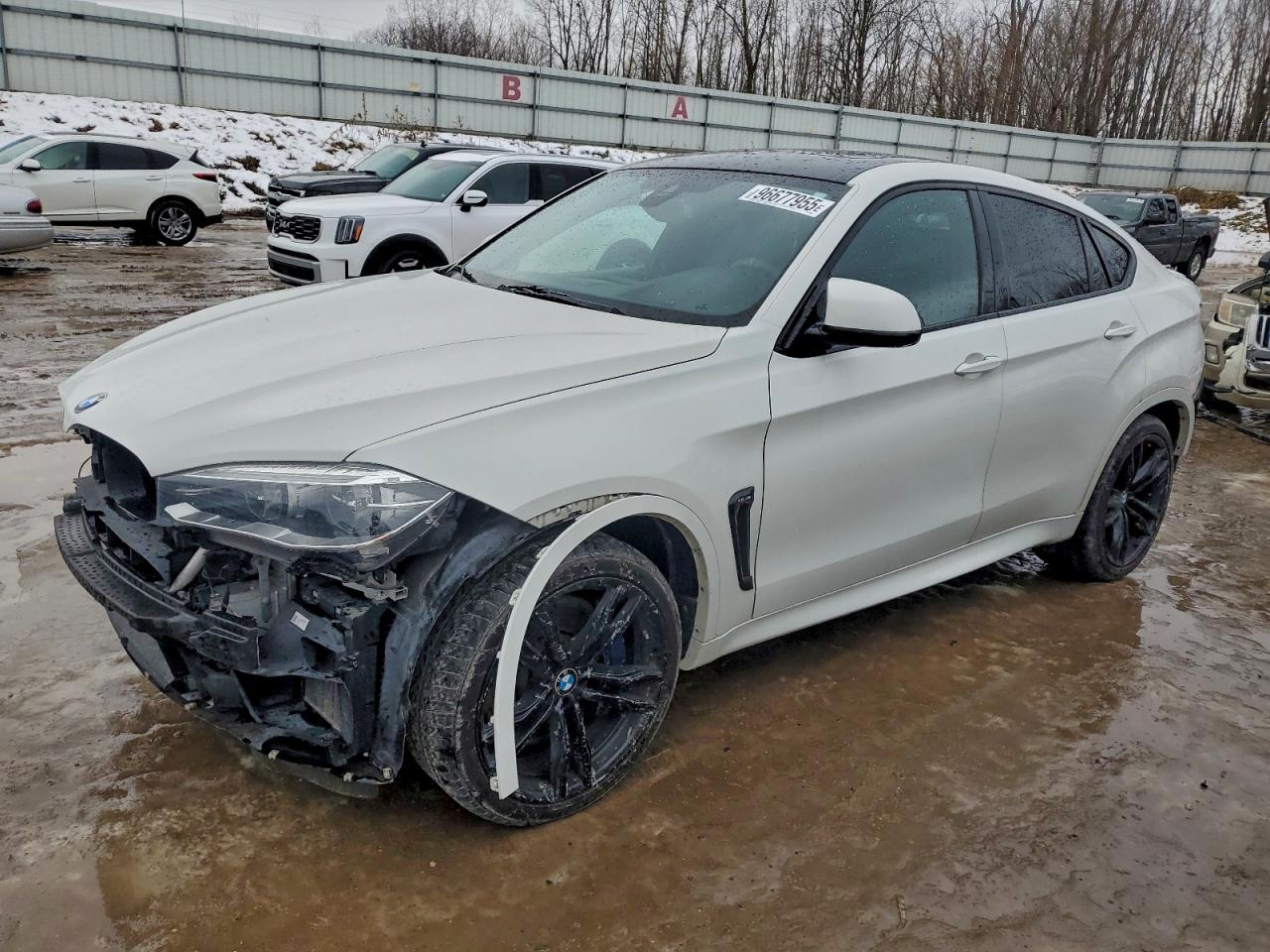 2015 BMW X6 M, VIN 5YMKW8C58F0G93562 — Rear end