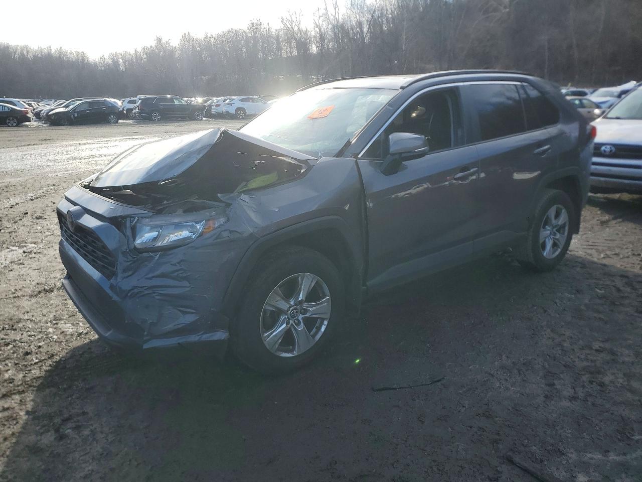2020 Toyota RAV4 XLE, VIN 2T3P1RFV5LW115079 — Missing or altered VIN