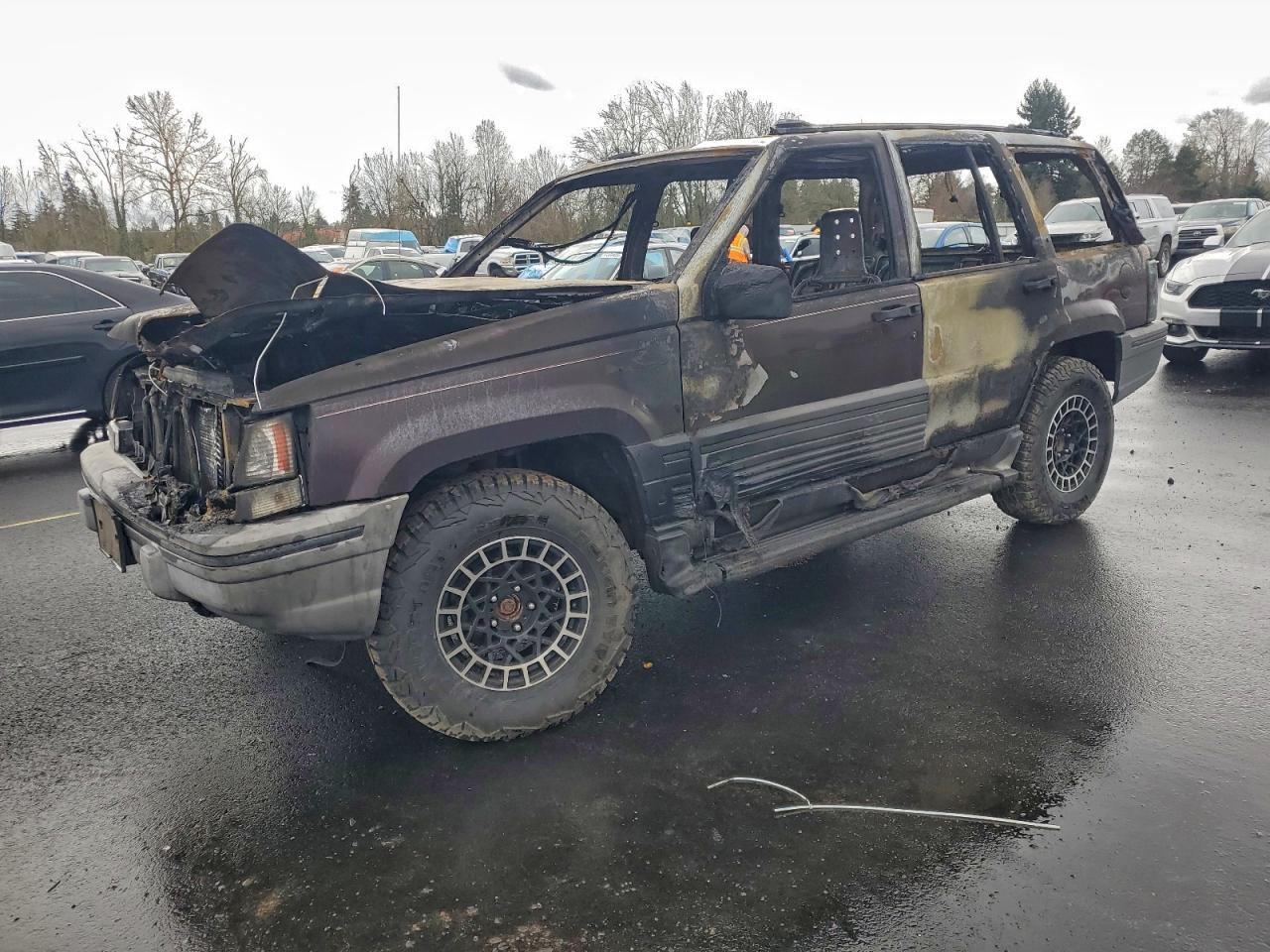 1994 Jeep Grand Cherokee Laredo, VIN 1J4GZ58Y9RC302565 — Burn