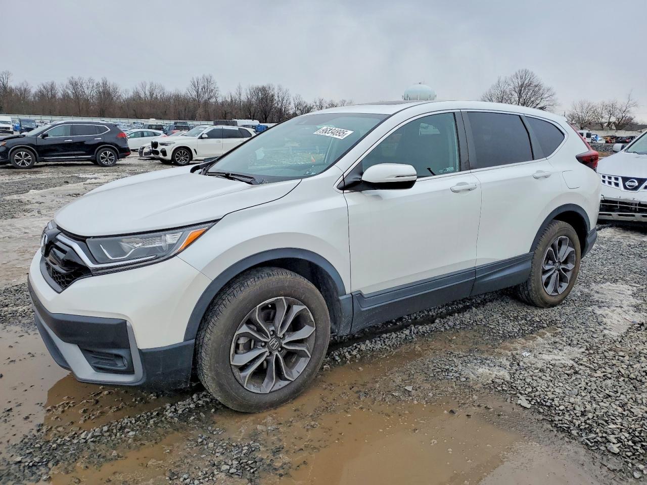 2020 Honda CR-V EX-L, VIN 2HKRW2H80LH619667 — Missing or altered VIN