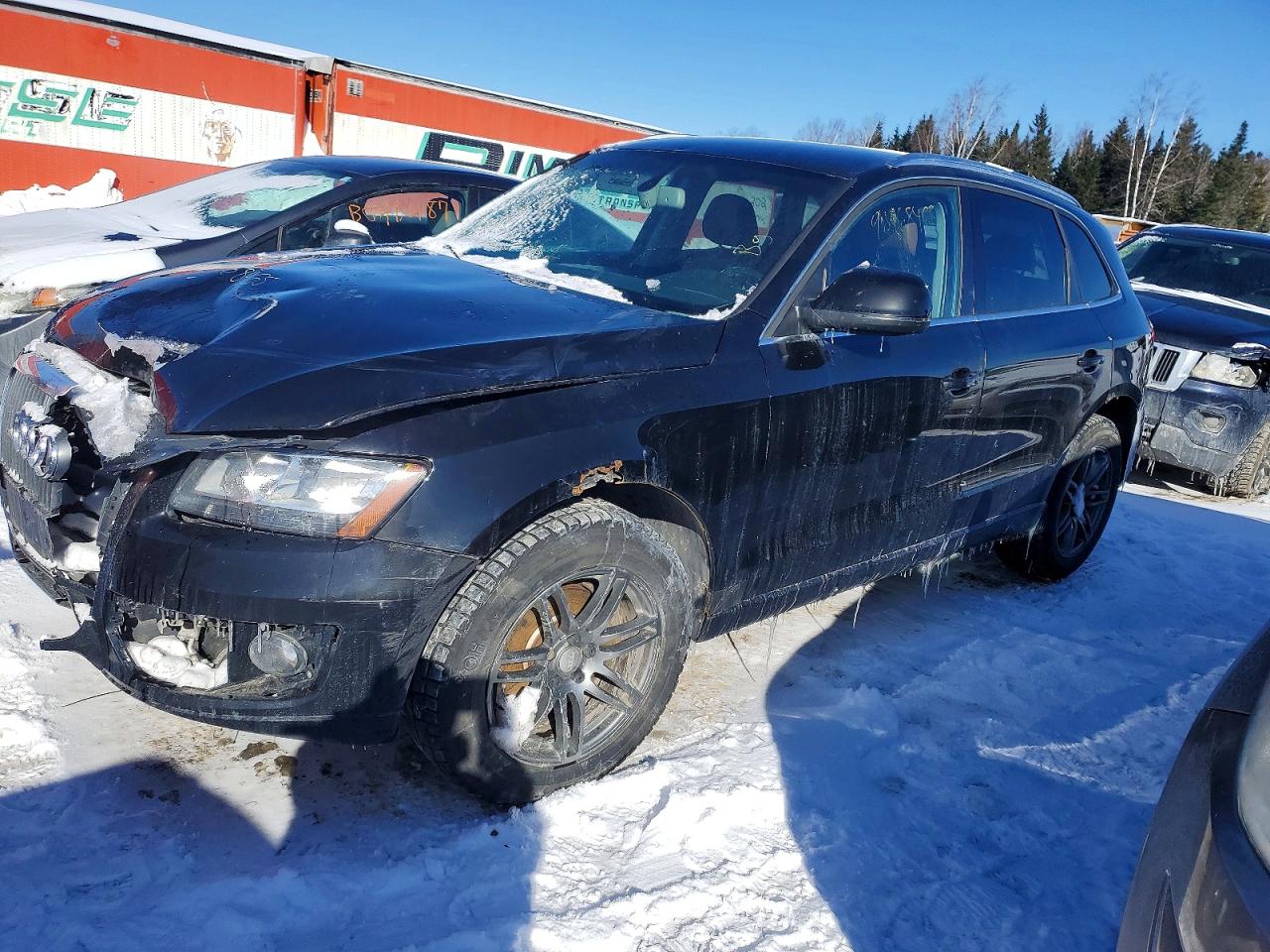 2011 Audi Q5 Progressiv, VIN WA1LFCFP8BA114465 — Front end