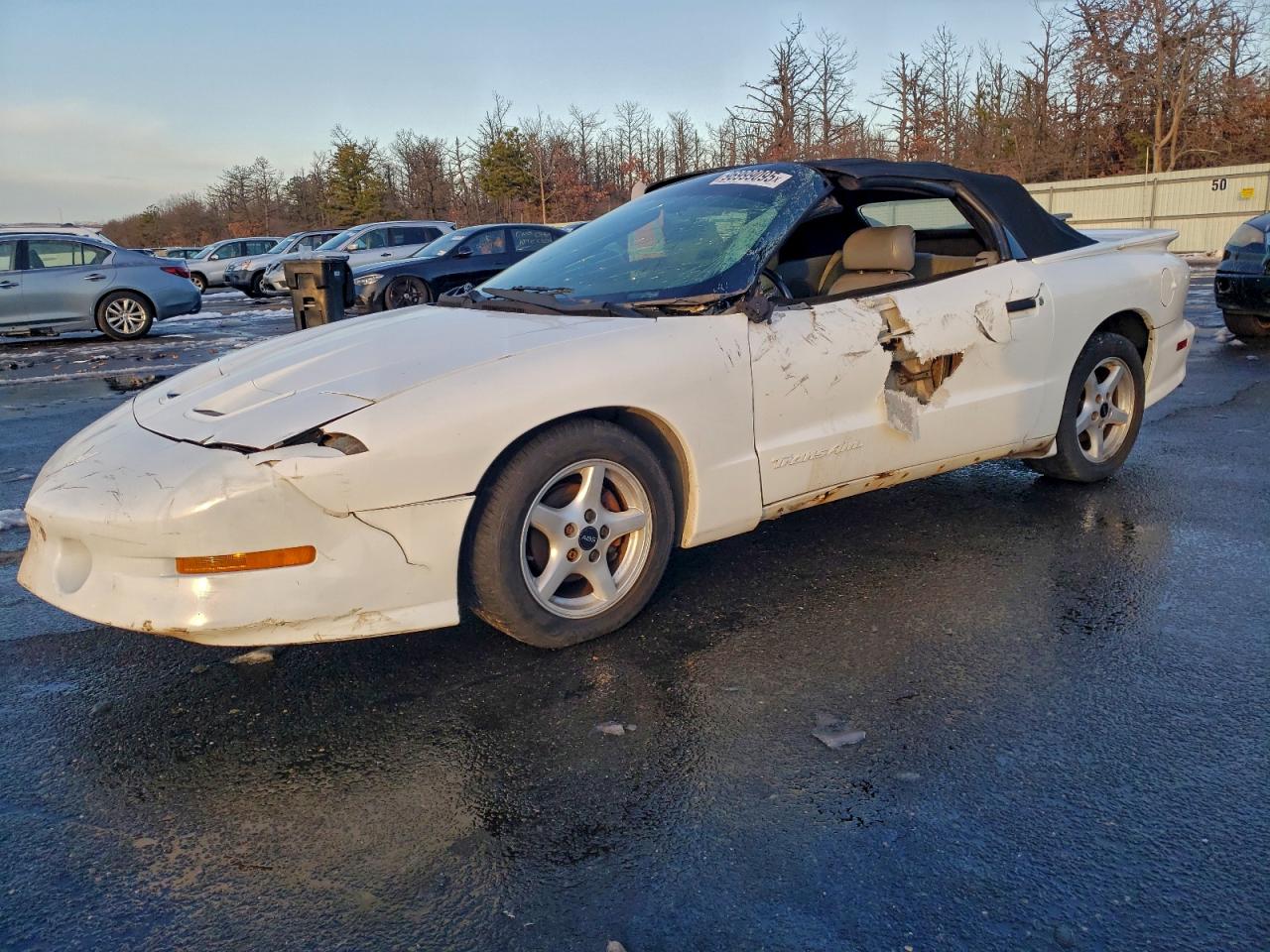 1995 Pontiac Firebird Trans Am, VIN 2G2FV32PXS2247457 — Side