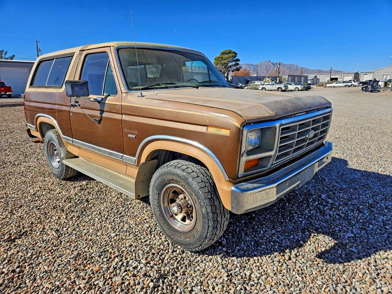 1983 Ford Bronco, VIN 1FMEU15G6DLA00090 — Minor dents and scratches