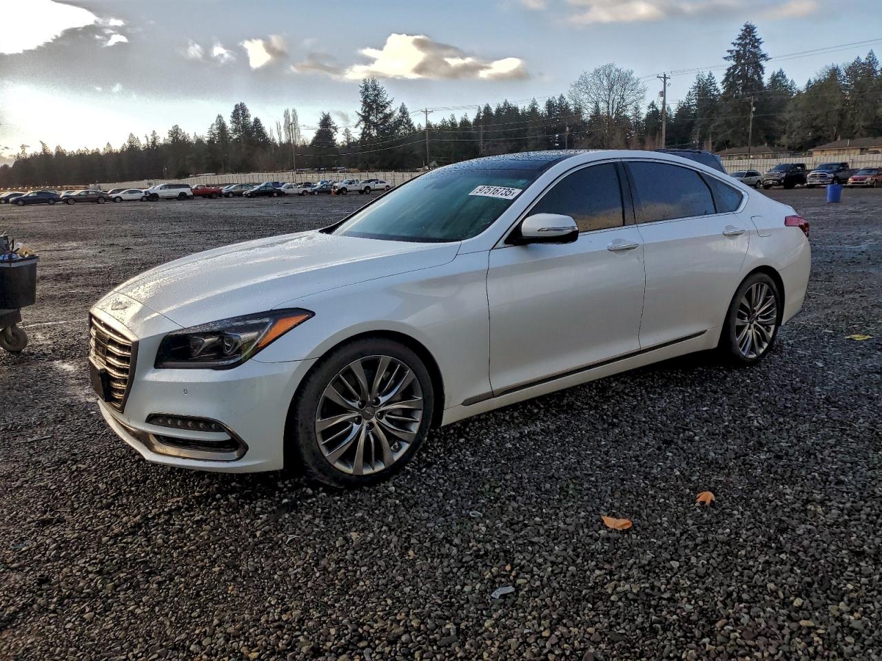 2020 Genesis G80 Ultimate, VIN KMTFN4JF4LU335170 — Вода / потоп
