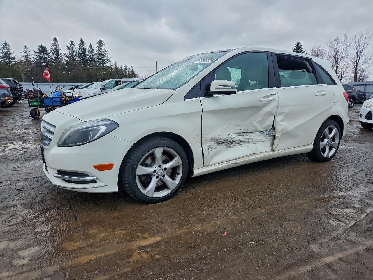 2014 Mercedes-Benz B 250 Sports Tourer, VIN WDDMH4EB8EJ209456 — Side
