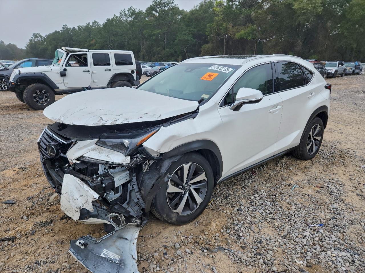 2018 Lexus NX 300, VIN JTJYARBZ7J2106299 — Front end