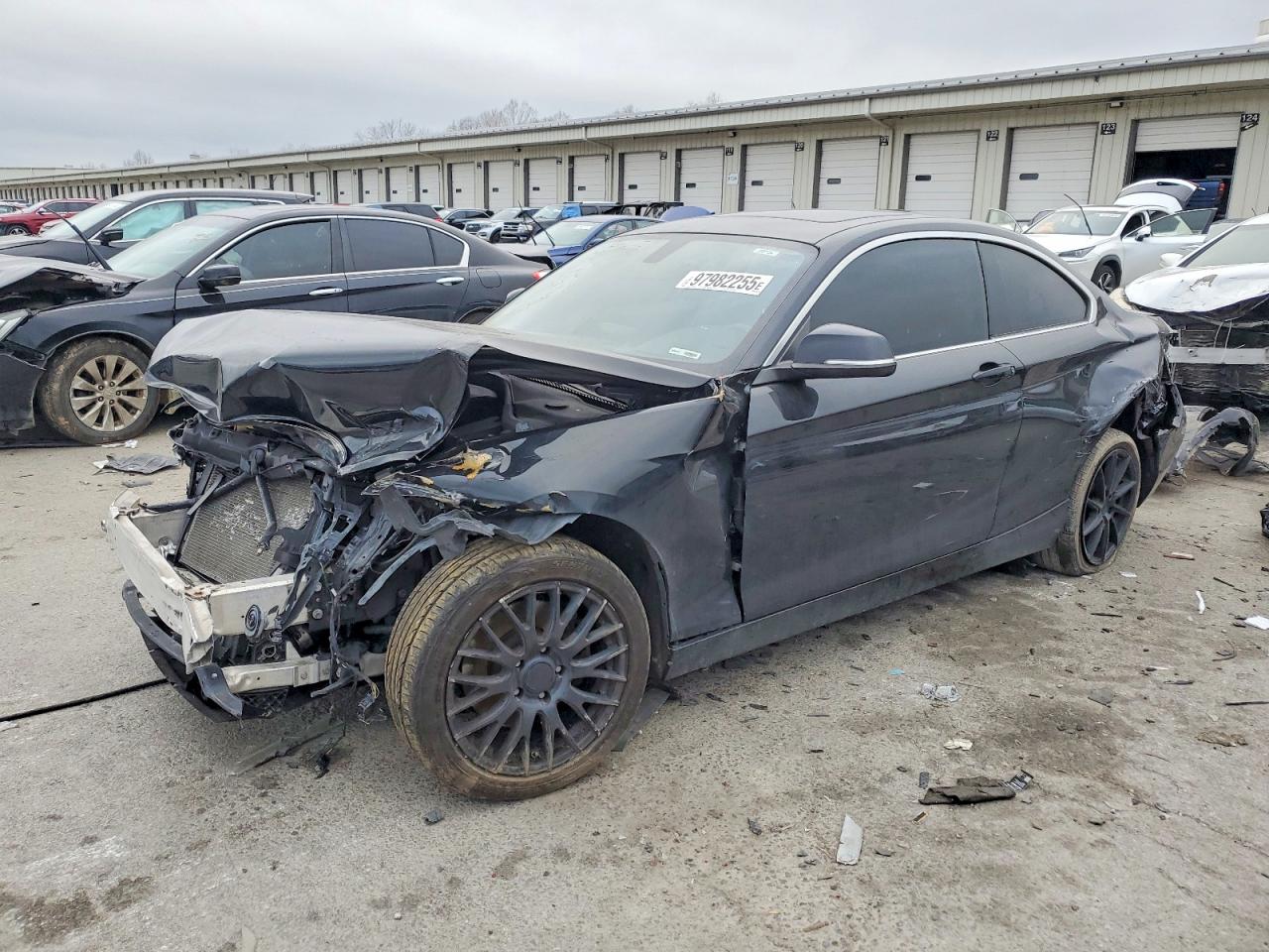 2015 BMW 2 Series 228i xDrive, VIN WBA1F7C58FVX96377 — Front end