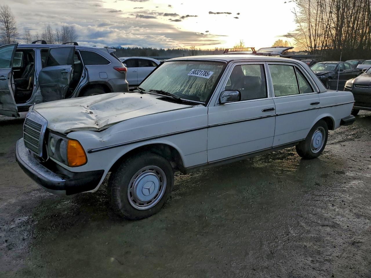 1983 Mercedes-Benz 240 Series 240D, VIN WDBAB23A2DB404831 — Front end
