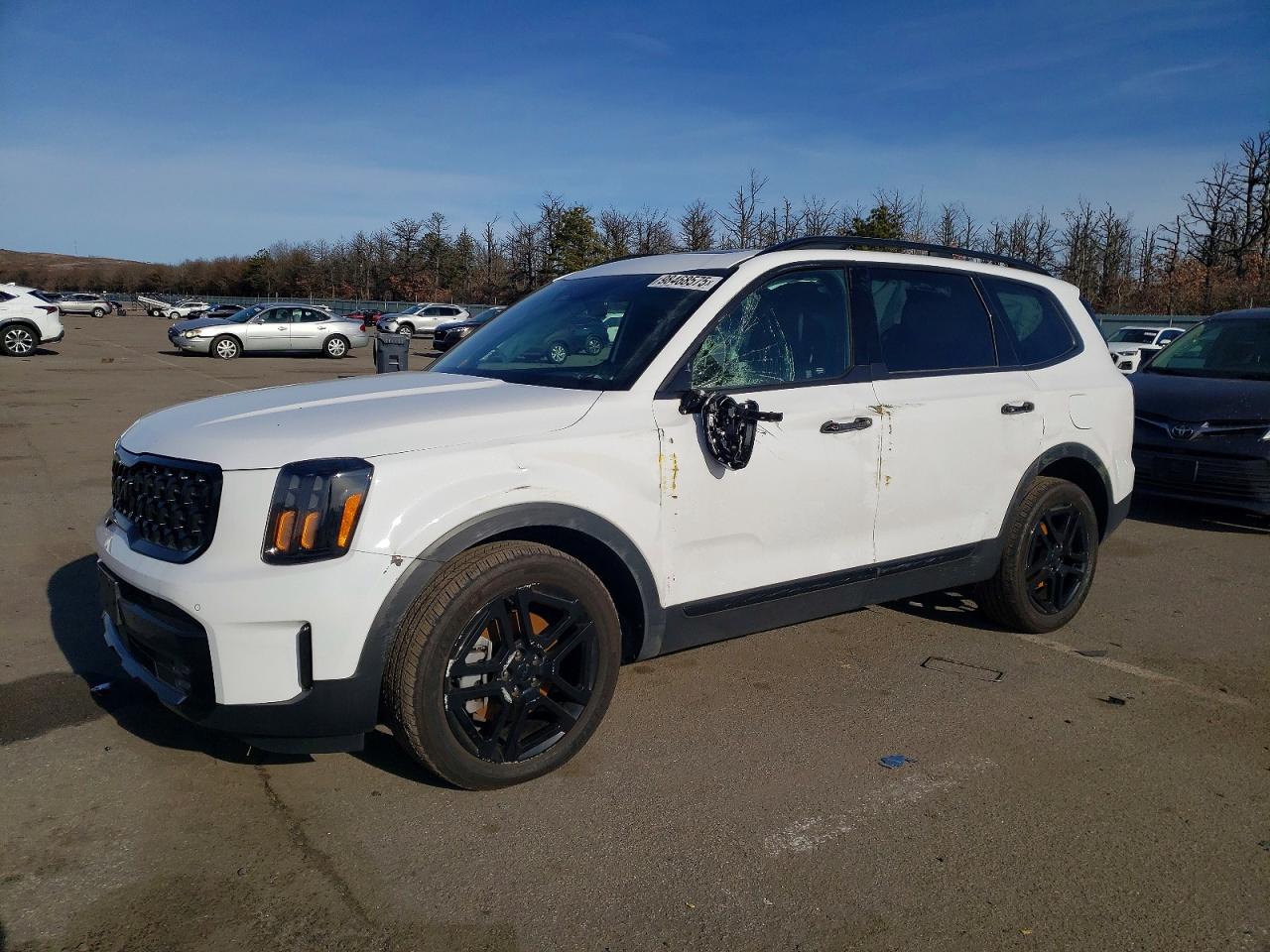 2025 Kia Telluride SX-Prestige X-Line, VIN 5XYP5DGC2SG618862 — Front end