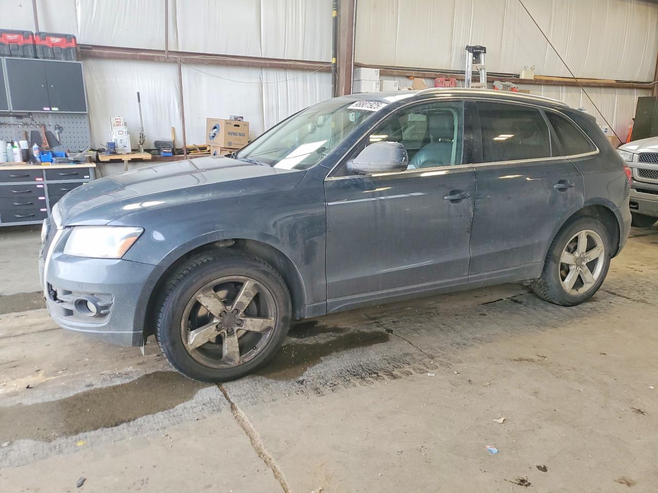 2009 Audi Q5 Premium, VIN WA1KK78R09A009636 — Front end