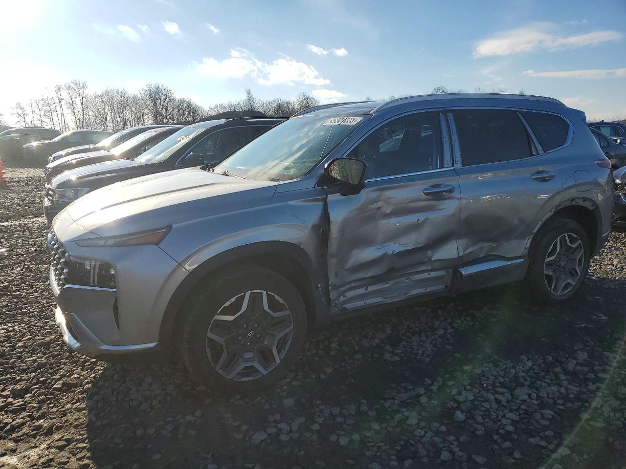2021 Hyundai Santa Fe Limited, VIN 5NMS4DAL3MH372046 — Side