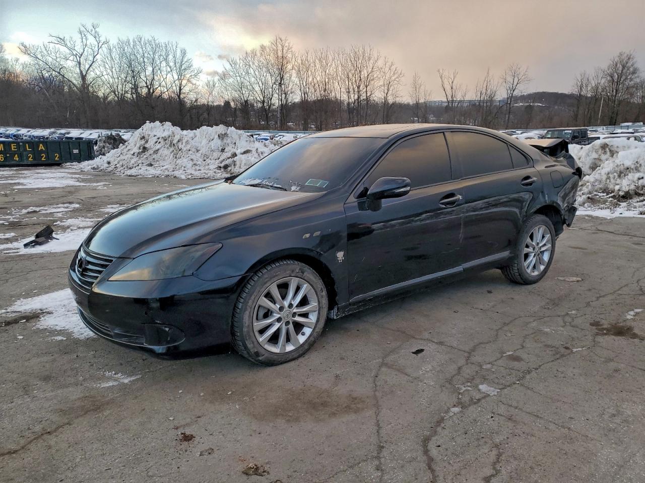 2010 Lexus ES 330, VIN JTHBK1EG2A2411810 — Rear end